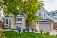 06 - Cactus Flower.jpg