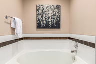 25 - Cactus Flower.jpg