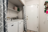 38 - Cactus Flower.jpg