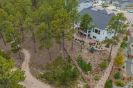 06 - Treetop Glory Drone.jpg