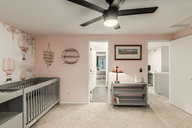 28 - Cactus Flower.jpg