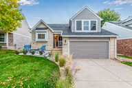 01 - Cactus Flower.jpg