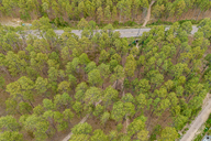 15 - Treetop Glory Drone.jpg