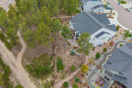 13 - Treetop Glory Drone.jpg