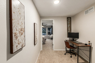 33 - Cactus Flower.jpg