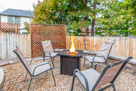 43 - Cactus Flower.jpg