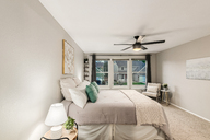 29 - Cactus Flower.jpg