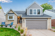 02 - Cactus Flower.jpg