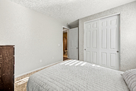 28-Iris.jpg