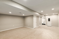 37 - Cactus Flower.jpg