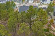 05 - Treetop Glory Drone.jpg