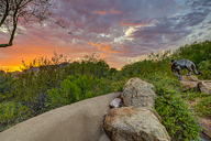 103-Black Mountain.jpg