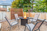 11 - Cactus Flower.jpg