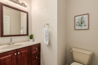 18 - Cactus Flower.jpg