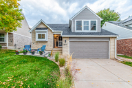 01 - Cactus Flower.jpg