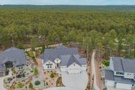 08 - Treetop Glory Drone.jpg