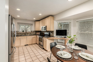 13 - Cactus Flower.jpg