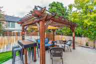 41 - Cactus Flower.jpg