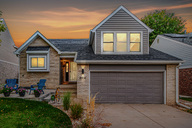 02 - Cactus Flower.jpg