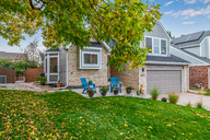 05 - Cactus Flower.jpg