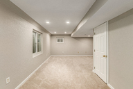 36 - Cactus Flower.jpg